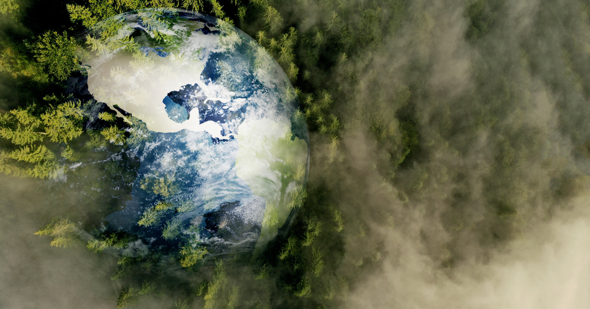 Mariposas de Ecuador y Colombia en el epicentro mundial de la biodiversidad